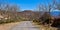 a couple of male hikers at the end of an asphalt road in the middle of the countryside with two tree lines without leaves at both