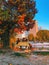 A couple and a man sitting on a bench with red gold cast by La Seine river in Paris during sunset