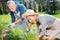 Couple of mature wife and husband feeling busy while working near flower bed