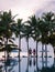 Couple of men and women relaxing by the pool in beach beds chairs, tropical pool