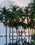 Couple of men and women relaxing by the pool in beach beds chairs, tropical pool