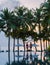 Couple of men and women relaxing by the pool in beach beds chairs, tropical pool