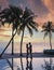 Couple of men and women relaxing by the pool in beach beds chairs, tropical pool