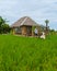 couple men and women on vacation at a homestay in Thailand, eco farm with green rice paddy field