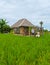 couple men and women on vacation at a homestay in Thailand, eco farm with green rice paddy field