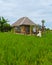 couple men and women on vacation at a homestay in Thailand, eco farm with green rice paddy field