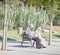 a couple of old people resting, traditional Catalans