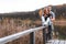 A couple on the old wooden bridge at a lake on autumn day in park. Forest on background. Happy togather, copy space for text.