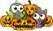 Couple owls and Halloween pumpkins