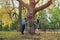 Couple peeking around opposite sides of tree. Concept of love story and dating