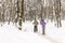 Couple of people enjoying cross-country skiing in city park or forest in winter. Family Sport outdoor activities in winter season