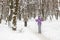 Couple of people enjoying cross-country skiing in city park or forest in winter. Family Sport outdoor activities in winter season