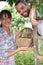 Couple picking plums