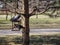 A couple of pigeons are waiting for food on a feeder for birds