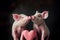 couple pigs in love, postcard for Valentine\\\'s day.