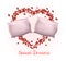 Couple of Pillow inside of Rose Petals Heart Frame