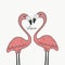 Couple pink flamingo birds love watercolour painting illustration