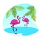 Couple of Pink Flamingo Stand on Water Surface