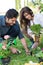 Couple Planting Plant In Garden