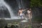 Couple Playing Under Waterfalls