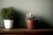A Couple Of Potted Plants Sitting On Top Of A Wooden Table. Generative AI