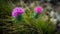 a couple of purple flowers sitting on top of a lush green field of grass and dirt covered ground next to a rock wall and a small