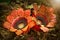Couple Rafflesia flowers are in bloom on forest ground
