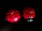 Couple of red and black ladybug shaped candles on black background. home decoration concept