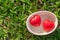 Couple red heart shape on green natural background in the garden outdoor. Love Valentineâ€™s Day healthy Insurance and Charity
