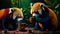 Couple of red pandas sitting next to each other holding coffee cups. Generative AI