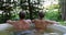 couple relaxing together in outdoor hot tub at forest resort. spa nature treatment, romantic getaway