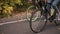 Couple riding bikes along the asphalt road in local park early in the morning in autumn day. Close up of legs pedaling