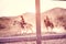 Couple riding horses inside corral ranch - Happy people having fun on summer day - Vacation, excursion, healthy lifestyle, sport,