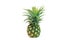 couple ripe pineapple on white background healthy pineapple fruit food isolated