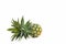 couple ripe pineapple on white background healthy pineapple fruit food isolated