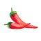 Couple of ripe red hot chili peppers in watercolor style isolated on white background. Sketch of two burning spicy mexican cayenne