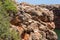 Couple of rock wallabies hiding at the creek between the rocks with shade near a river. Yardie Creek, Cape Range National Park,