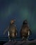 Couple of Rockhopper penguins watching aurora australis and heart shaped stars in the sky