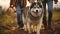 A Couple\\\'s Shared Moments with Their Beloved Husky on Daily Walks. Generative AI