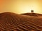 Couple in sahara desert