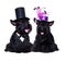 Couple of scottish terriers wearing hats