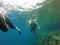 Couple scuba diving under crystal clear water with tank, fins and visor happy swim and share their love doing exercise and living