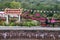 Couple sit on a bench on an old heritage railway platform with Levisham station sign