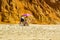 A couple sit in the shade of a brolly on Falesia beach in Portugal