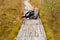 A couple sits on a wooden path in a swamp in Yelnya, Belarus