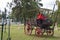 Couple sitting in carriage in park in the Uruguay