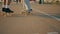 Couple skaters riding skateboards at city promenade. Pair shoes standing boards