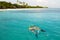 Couple snorkel in crystal water in Maldives