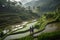 A couple standing on a rice terrace, embracing with the verdant, lush terraces cascading down the hillside behind them. The