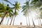 Couple standing on sandy beach among palm trees on sunny morning